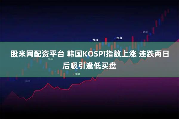 股米网配资平台 韩国KOSPI指数上涨 连跌两日后吸引逢低买盘
