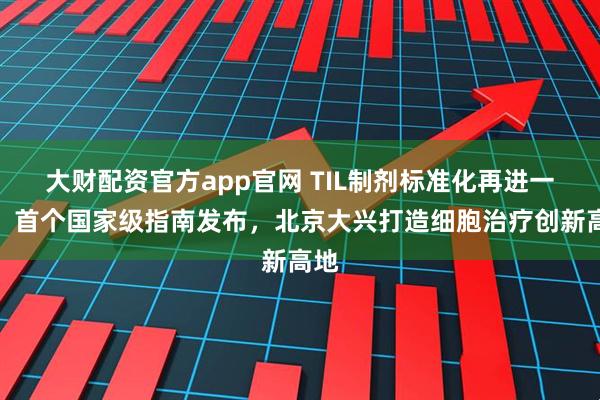 大财配资官方app官网 TIL制剂标准化再进一步：首个国家级指南发布，北京大兴打造细胞治疗创新高地
