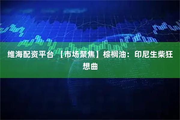 维海配资平台 【市场聚焦】棕榈油：印尼生柴狂想曲