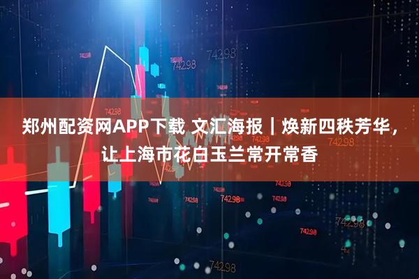 郑州配资网APP下载 文汇海报｜焕新四秩芳华，让上海市花白玉兰常开常香